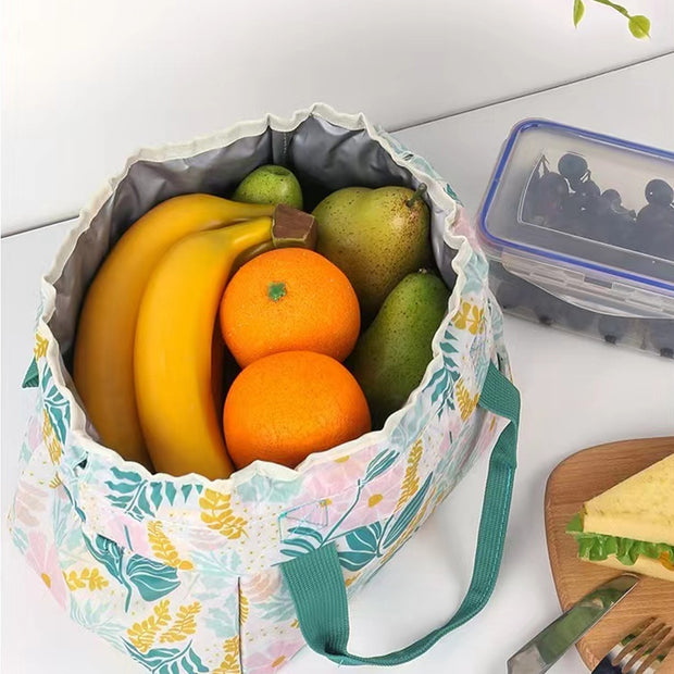 Portable insulated lunch bag
